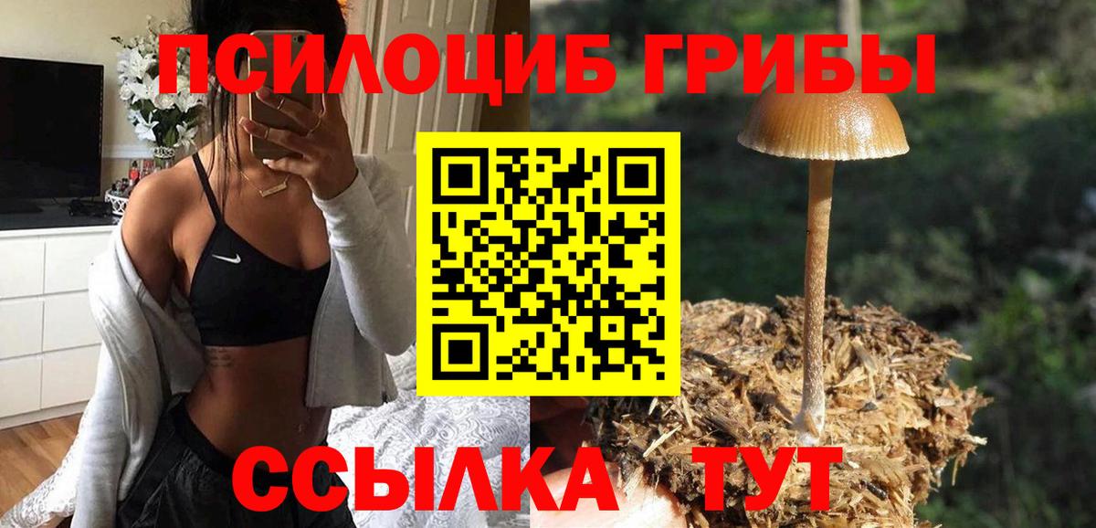 Галлюциногенные грибы прущие грибы Асино