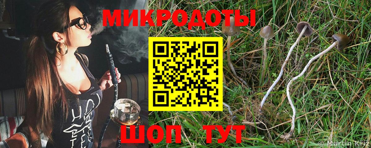 Асино  Псилоцибиновые грибы MAGIC MUSHROOMS  Вход с VPN 